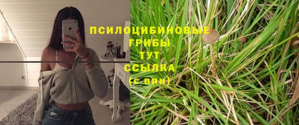 прущие крисы Баксан