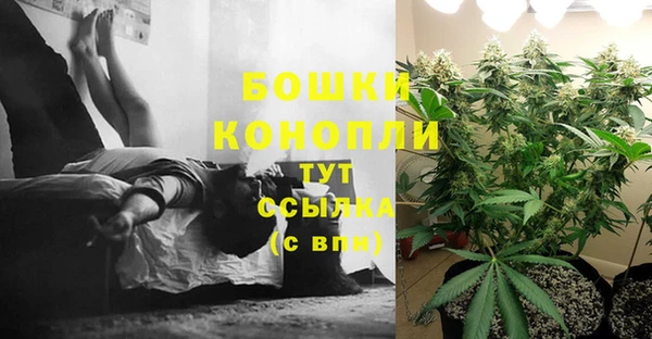 прущие крисы Баксан
