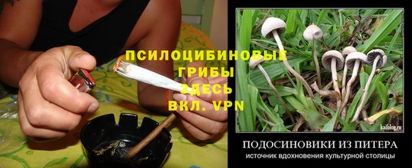 прущие крисы Баксан