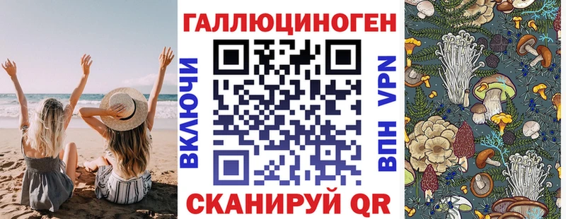Псилоцибиновые грибы прущие грибы  Кяхта 