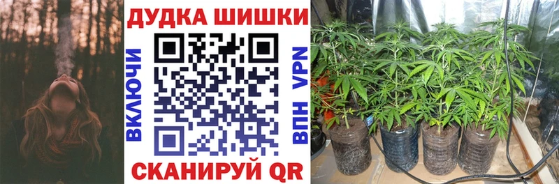 Бошки Шишки SATIVA & INDICA  площадка как зайти  Кяхта 